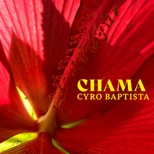 GatoMorto...GottaMove