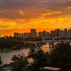 追光的人