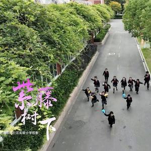紫藤树下 2025正式版 闵行区实验小学校歌.mp3