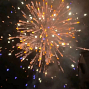 关于我们你遗憾吗