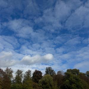 太聪明（我猜着你的心～）