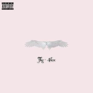 Fly