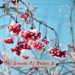 Shinny Penetration (Water Version)