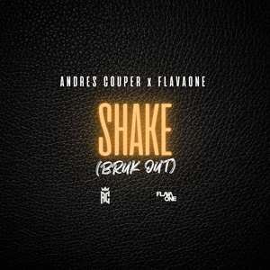 Shake (Bruk Out)