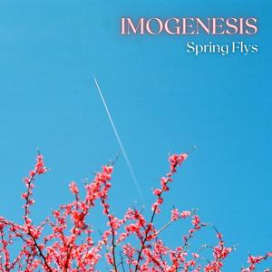 Spring Flys