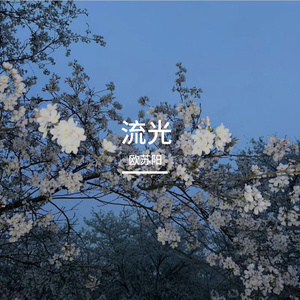 风之絮