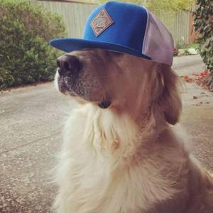 innout (feat. faller)