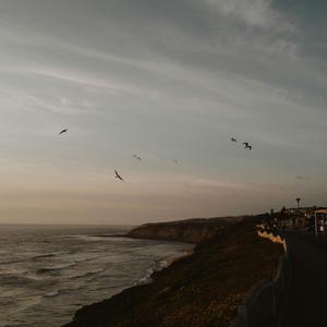 Waters