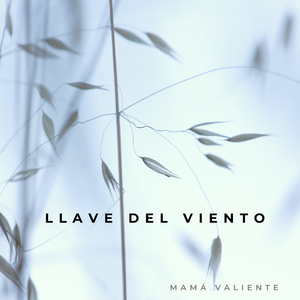 Llave del viento