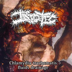 chlamydia trachomatis fluids drainage