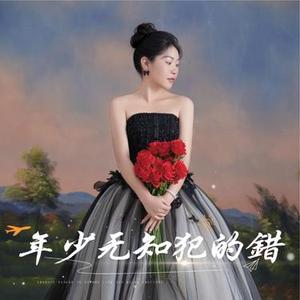 年少无知犯的错 咚鼓版