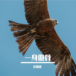 一身傲骨发行版