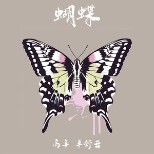 蝴蝶 (男生版)
