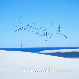 海风吹不到沙漠（DJ小伟版）