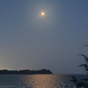 《霓虹下的未完成》