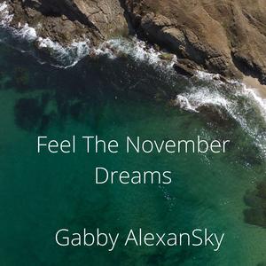 Feel The November Dreams