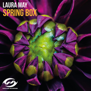 Spring Box (Original Mix)