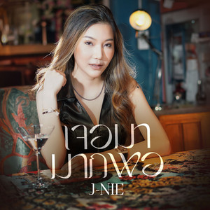 เจอมามากพอ