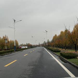 孤独的情人节与新年