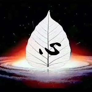 养生音乐 养肾健脾 舒眠频率