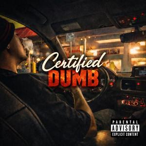 Certified Dumb