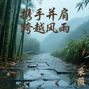 携手并肩 跨越风雨