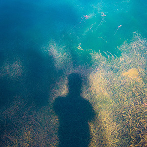 迷藏（翻自 刘昊霖）