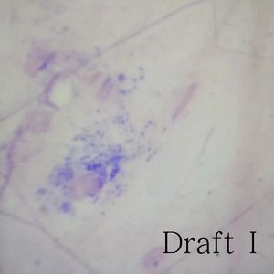 幻想之外的书籍 · 改