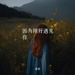 因为刚好遇见你