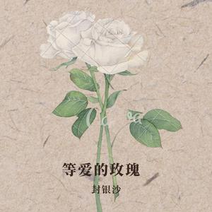 等爱的玫瑰（翻自 群星）