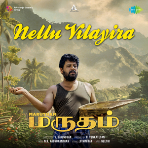Nellu Vilayira (From "Marutham")