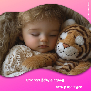 Music Box of the Night