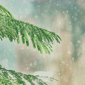 微妙的雨心情