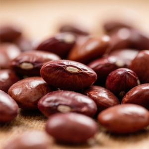 仲良くなりたいもん