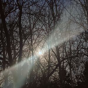 希望这首歌能让你平静下来