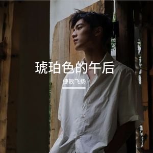 琥珀色的午后 伴奏