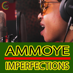 Imperfections (Reggae Remix) [feat. Ammoye]