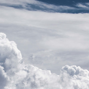 春季吃花的100种方式