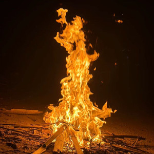 命（ cover 王鹤棣 ）