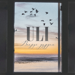 Вокруг дурдом