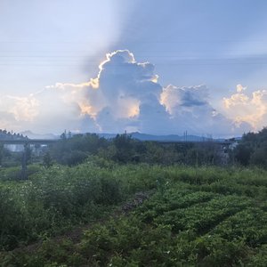 男儿四海闯事业