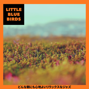 As the Morning Looms