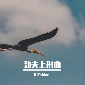 Lkeda-DEDEDE（DJYshine remix）