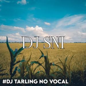 Dj Dianggep Sepele - No Vocal