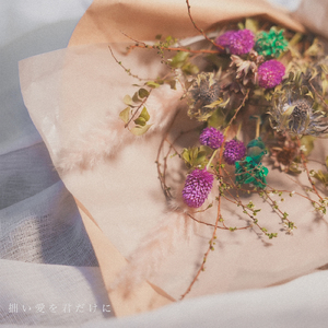 拙い愛を君だけに