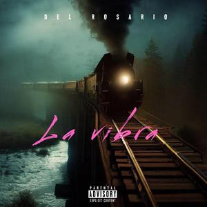 LA VIBRA