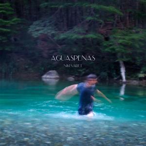 AGUASPENAS