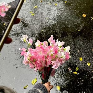 浪漫天真
