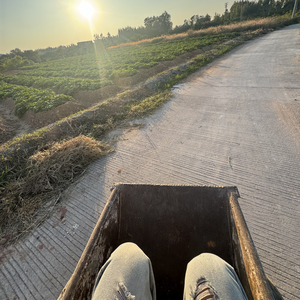 抓住你的身影.