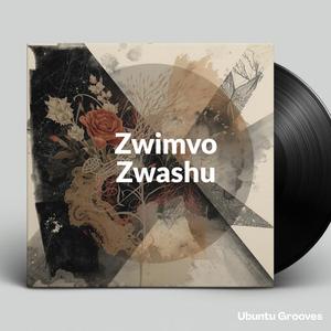 Zwimvo Zwashu